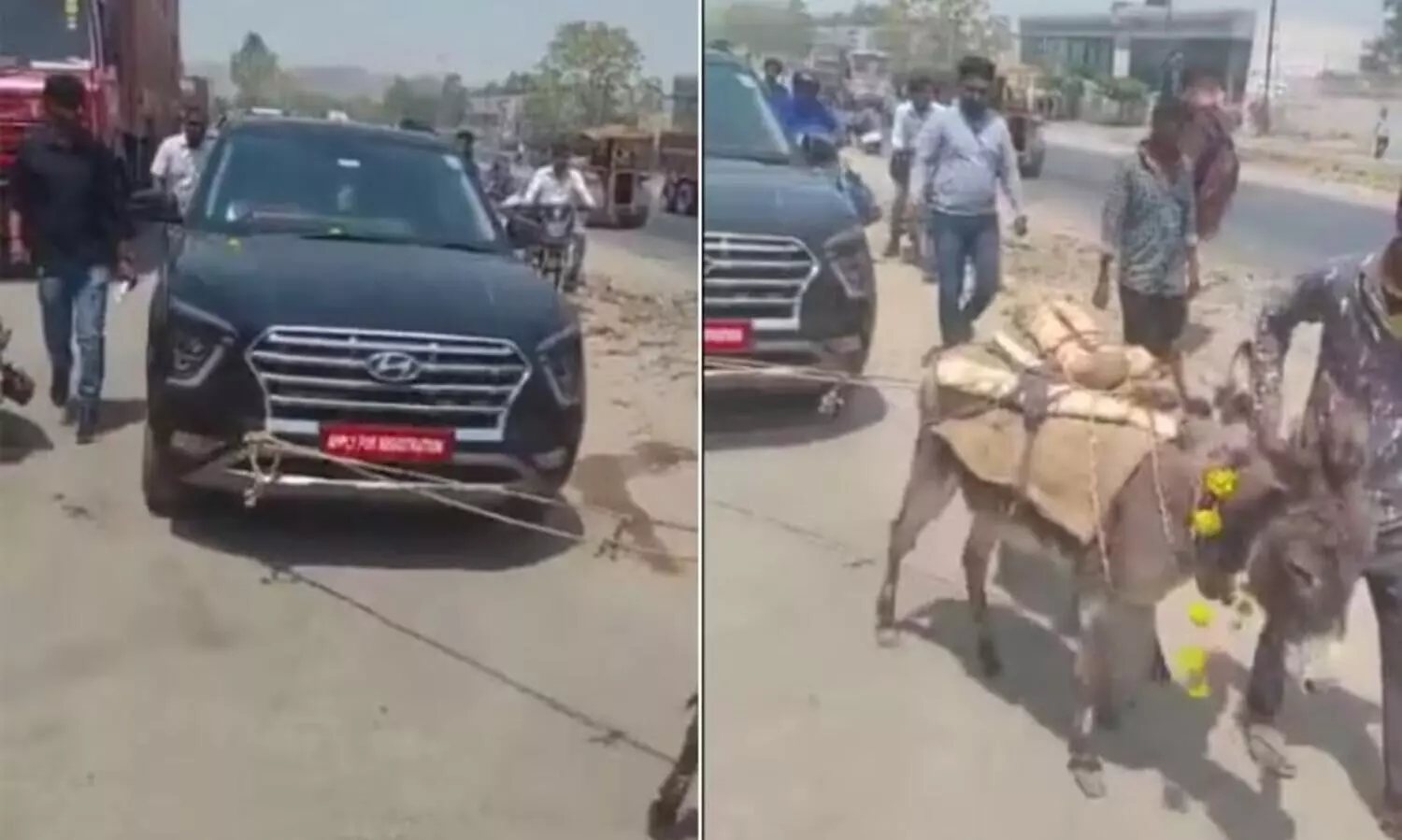 കാര്‍ വാങ്ങി മാസങ്ങള്‍ക്കുള്ളില്‍ തകരാർ; കഴുതകളെക്കൊണ്ട് കെട്ടിവലിപ്പിച്ച് ഉടമ -വിഡിയോ