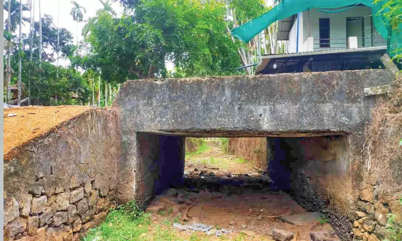 കാ​വ​നൂ​ർ ആ​ശാ​രി​ത്തോ​ട് പാ​ലം ത​ക​ർ​ച്ച ഭീ​ഷ​ണി​യി​ൽ