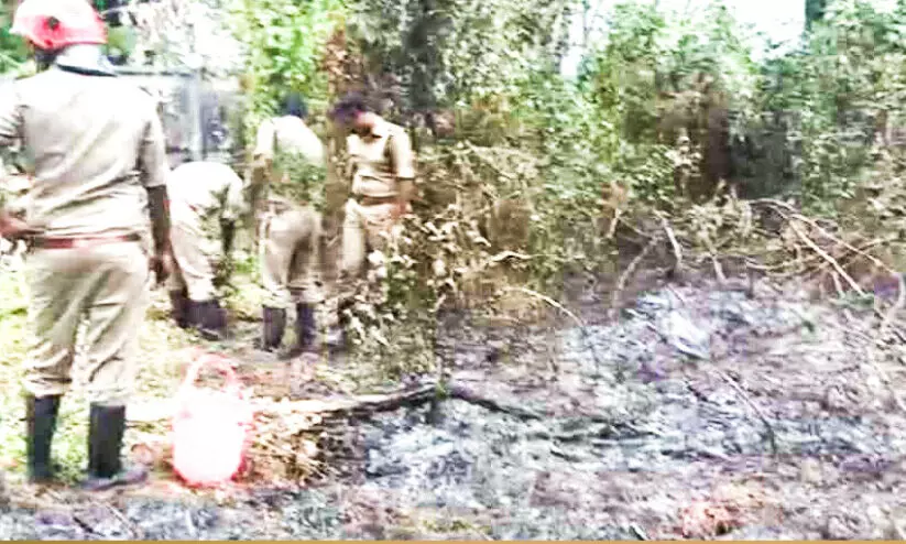 അങ്കമാലിയിൽ ആളൊഴിഞ്ഞ പറമ്പിൽ അഗ്നിബാധ അങ്കമാലിയിൽ ആളൊഴിഞ്ഞ പറമ്പിൽ അഗ്നിബാധ