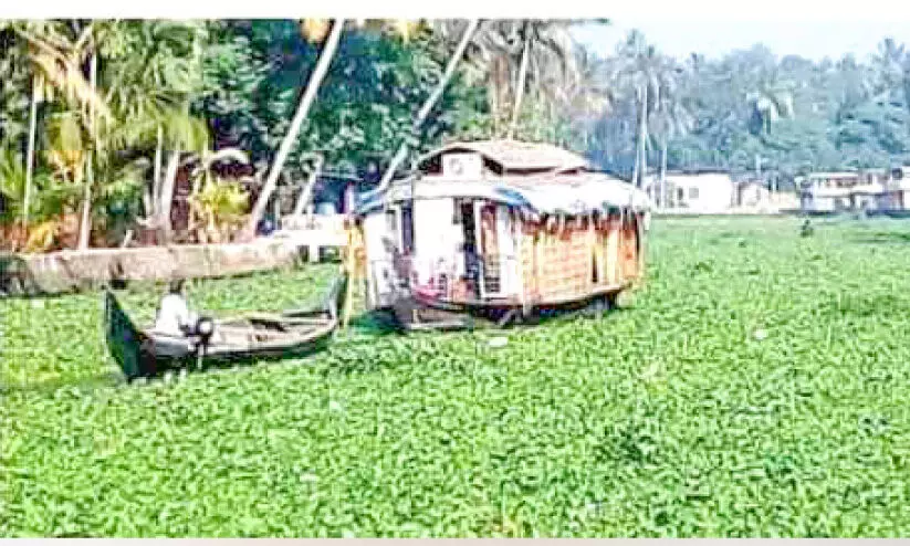 കുട്ടനാടിനെ വിഴുങ്ങി പോള