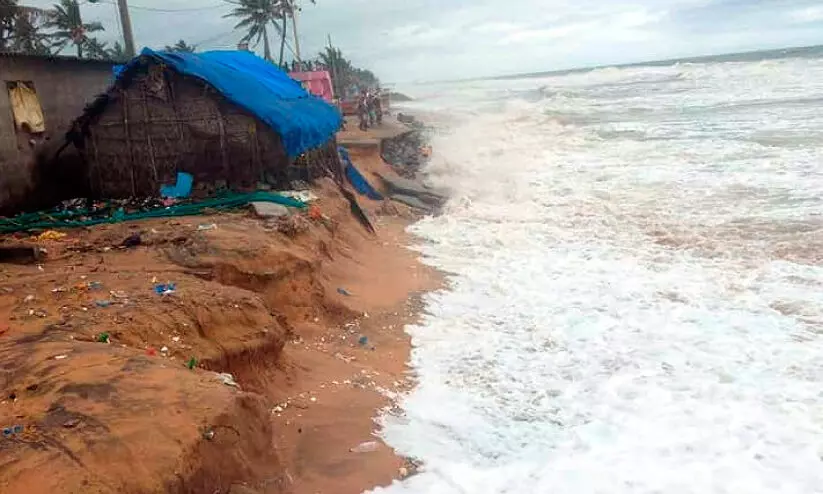 coastal protection coastal protection