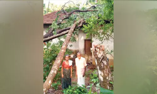 മ​ര​ങ്ങ​ൾ വീ​ണ് വീ​ട് ത​ക​ർ​ന്നു