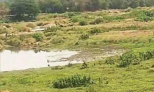 പൂ​ടൂരി​ൽ പു​ഴ വ​റ്റി; കു​ടി​വെ​ള്ളം മു​ട​ങ്ങു​മെന്ന് ആ​ശ​ങ്ക