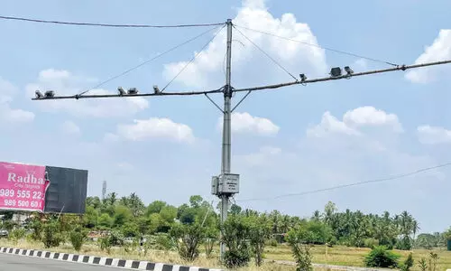 നോ​ട്ടം മാ​റി; നേ​രെ​യാ​ക്കാ​ൻ എ​ന്തു​ചെ​യ്യും?