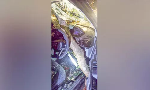 ഓടുന്ന കാറിനു മുകളിലേക്ക്​ മരം വീണു ഡ്രൈ​വ​ര്‍ അ​ത്ഭു​ത​ക​ര​മാ​യി ര​ക്ഷ​പ്പെ​ട്ടു