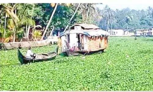 കുട്ടനാടിനെ വിഴുങ്ങി പോള