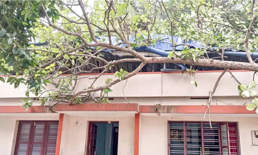 വീടിനുമുകളിൽ മരം വീണു