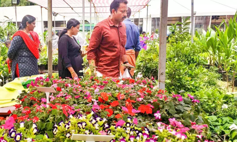 കൃഷിദർശൻ ഉദ്യോഗസ്ഥർ കൃഷിയിടങ്ങൾ സന്ദർശിച്ചു