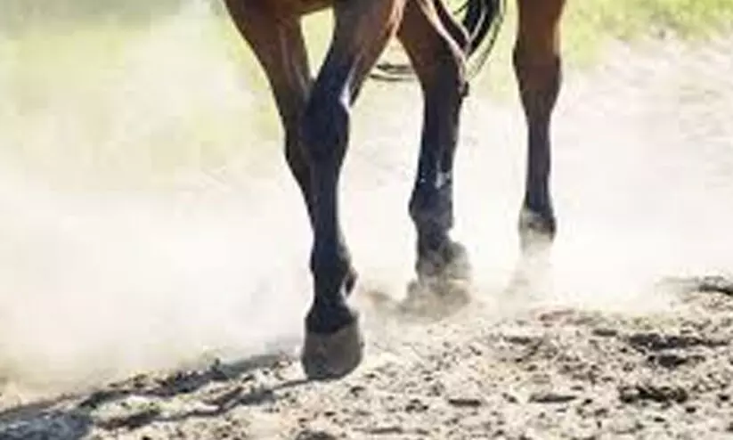 കുതിരപ്പുറത്തുനിന്ന് വീണ് പരിക്കേറ്റ യുവാവ് മരിച്ചു