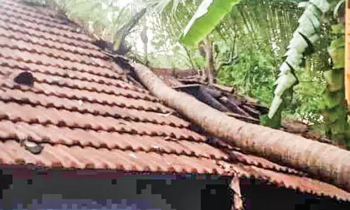 വേ​ന​ൽ മ​ഴ​യും കാ​റ്റും; വ്യാ​പ​ക നാ​ശം