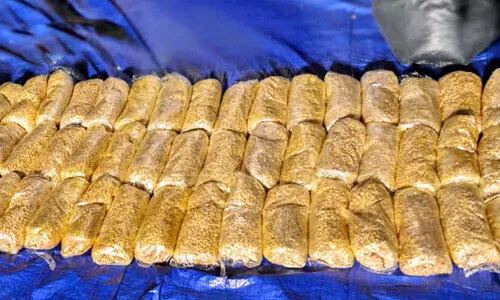 ഷാ​ർ​ജ​യി​ൽ വ​ൻ മ​യ​ക്കു​മ​രു​ന്നു​വേ​ട്ട 24 പേ​ർ പി​ടി​യി​ൽ