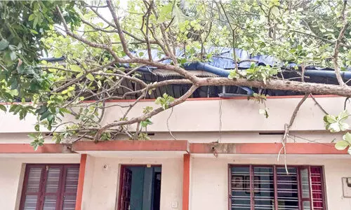 വീടിനുമുകളിൽ മരം വീണു