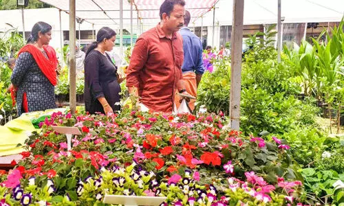 കൃഷിദർശൻ ഉദ്യോഗസ്ഥർ കൃഷിയിടങ്ങൾ സന്ദർശിച്ചു