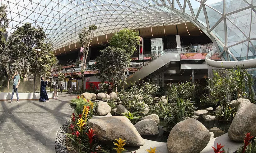  ഹ​മ​ദ് വി​മാ​ന​ത്താ​വ​ള​ത്തി​ലെ ഓ​ർ​ച്ചാ​ഡ്