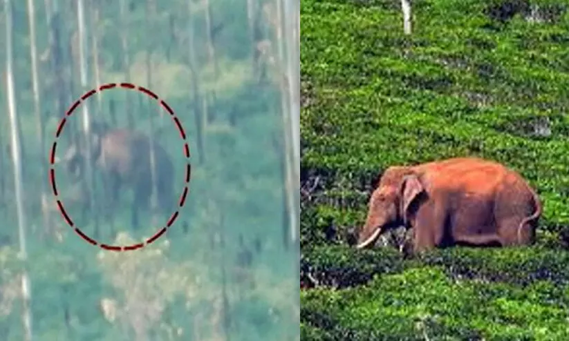 chakkakomban 09786 chakkakomban 09786