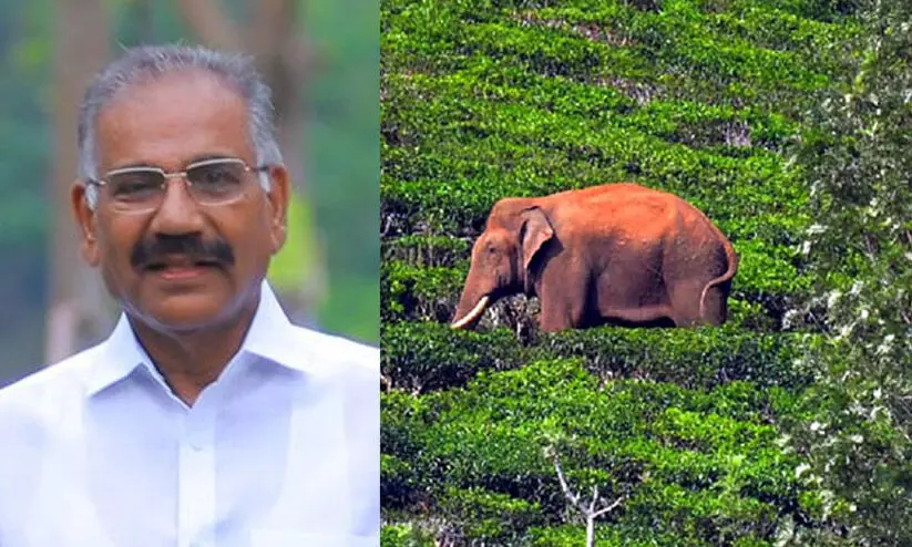 ak saseendran 0998786a