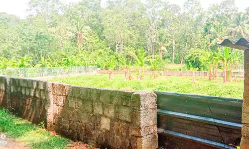 വന്യമൃഗശല്യം തടയാൻ പത്തടി ഉയരത്തിൽ സംരക്ഷണവേലിയുമായി കർഷകൻ