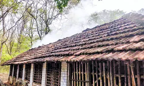 കാ​വ​ശ്ശേ​രി​യി​ൽ ക്ഷേ​ത്ര​ക്കു​ളം ഭാ​ഗ​ത്തെ ഷെ​ഡി​ന് തീ​പി​ടി​ച്ചു
