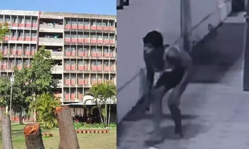 കോളജ് വനിതാ ഹോസ്റ്റലിൽ കയറിയ യുവാവ് അരമണിക്കൂറോളം കറങ്ങിനടന്നു; രണ്ട് ഗാർഡ്മാർക്ക് സസ്പെൻഷൻ