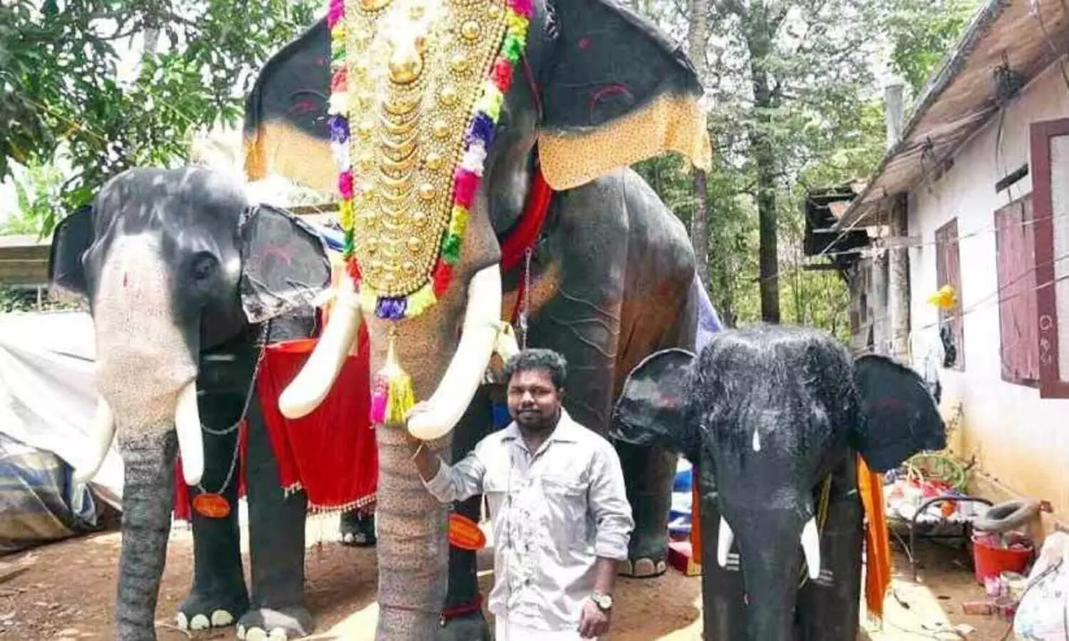 വ​മ്പ​ന്മാ​ര​ാണ് നി​കേ​ഷി​ന്റെ കൊ​മ്പ​ന്മാ​ർ