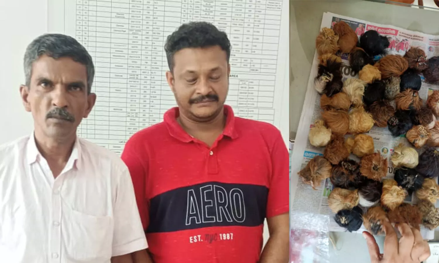 കസ്തൂരിയുമായി മലപ്പുറം സ്വദേശികൾ പിടിയിൽ