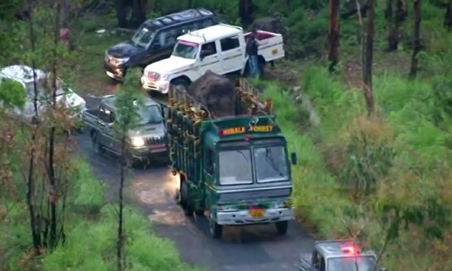 അരിക്കൊമ്പന്‍റെ വലതു കണ്ണിന് ഭാഗികമായി കാഴ്‌ചയില്ലെന്ന് വനംവകുപ്പ്​