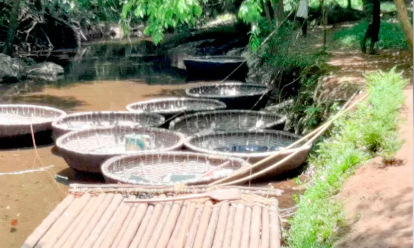 അടവിയിലെ കൊട്ടവഞ്ചികൾ ജീർണാവസ്ഥയിൽ അടവിയിലെ കൊട്ടവഞ്ചികൾ ജീർണാവസ്ഥയിൽ