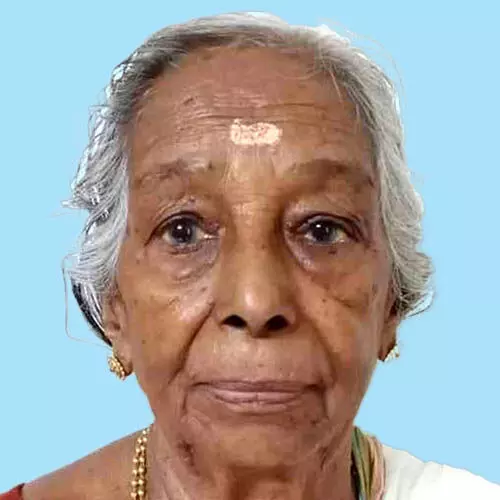 മീ​നാ​ക്ഷി അ​മ്മ