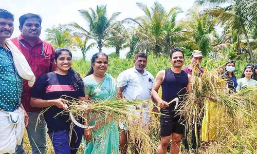 വെഞ്ചാലിയില്‍ കുട്ടിക്കർഷകരുടെ കൊയ്‌ത്തുത്സവം