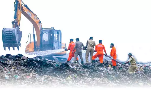 മാലിന്യ സംസ്കരണം; കൊച്ചിക്ക് സേനകളുടെ സഹായം