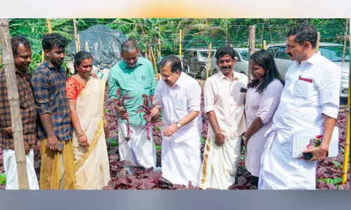 അപ്പർ കുട്ടനാടിന് മുൻഗണന നൽകി   പദ്ധതികൾ ആവിഷ്‌കരിക്കും-മന്ത്രി