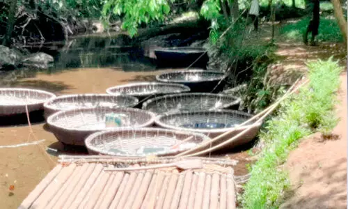 അടവിയിലെ കൊട്ടവഞ്ചികൾ ജീർണാവസ്ഥയിൽ