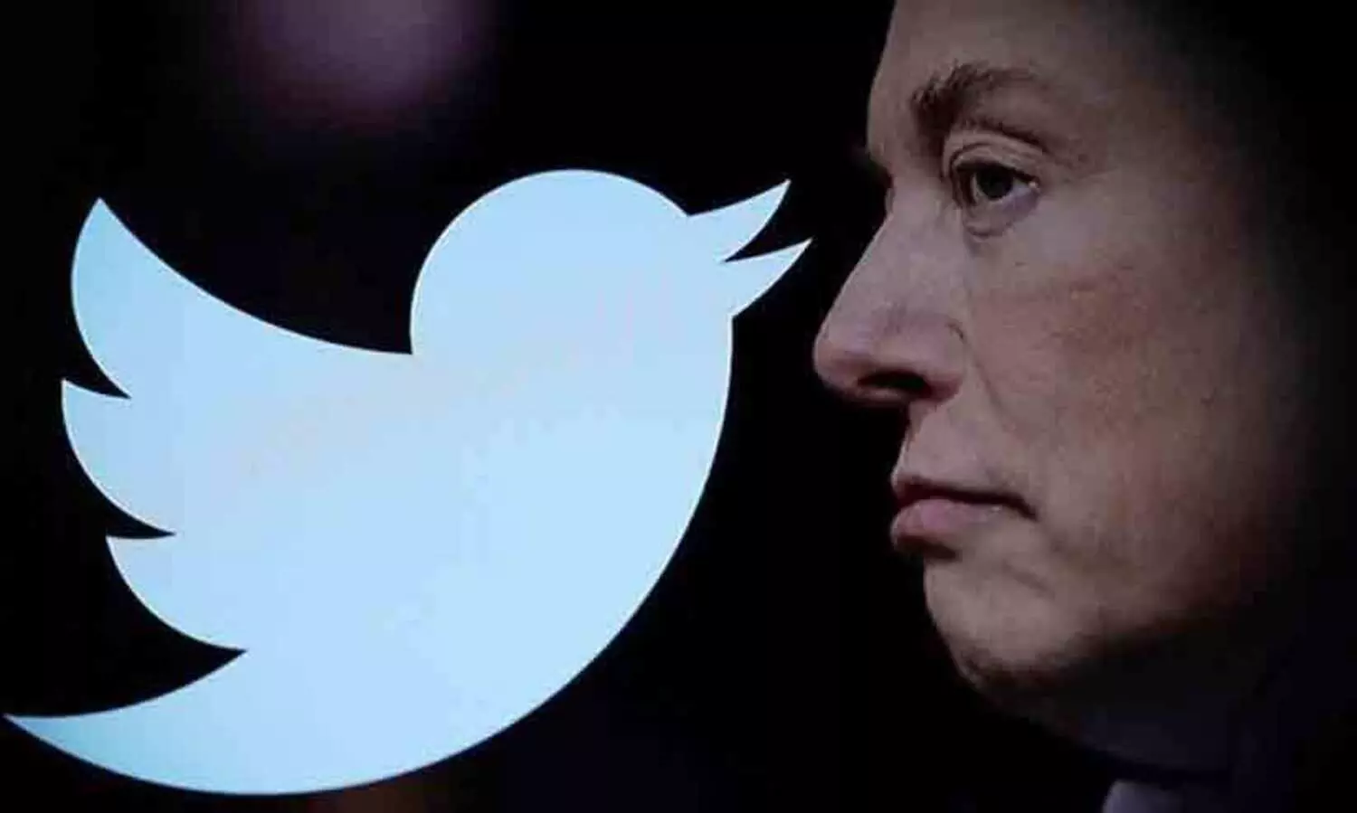 Elon Musk changes twitters parental leave policy