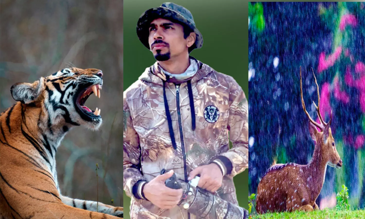 കാടുതേടിയൊരു ഫോട്ടോഗ്രാഫർ