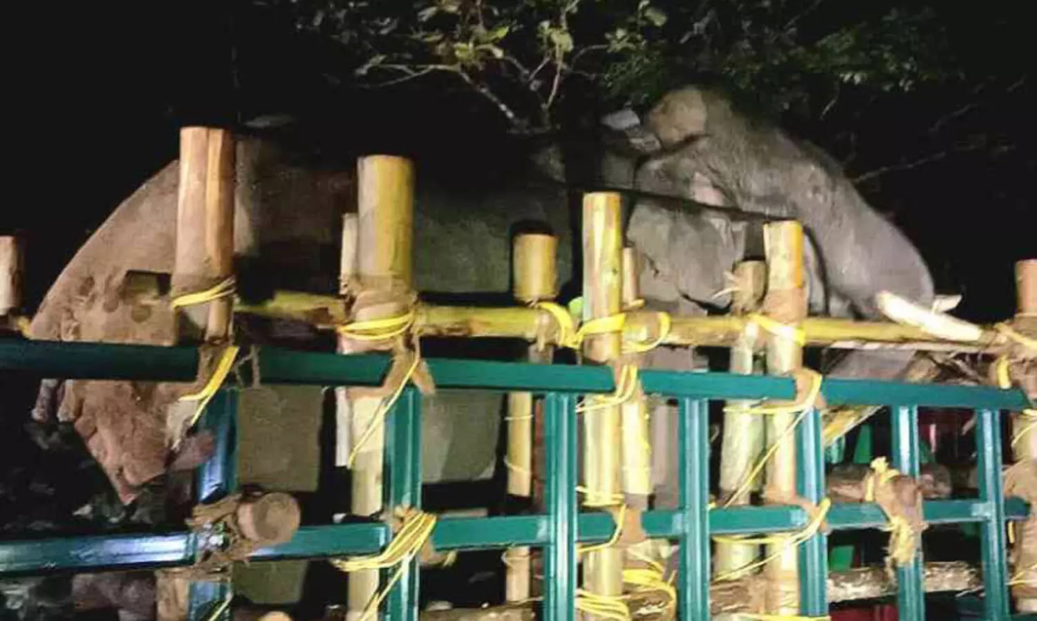 അരിക്കൊമ്പൻ ദൗത്യം: ചെലവ് 80 ലക്ഷം