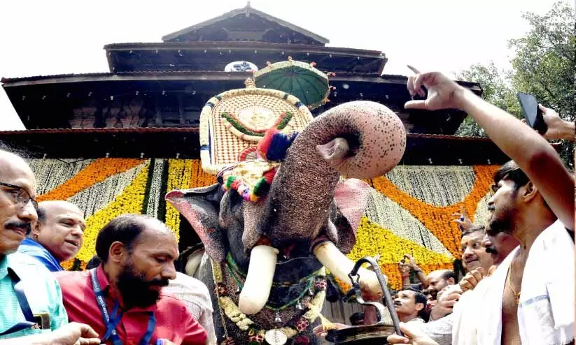 മ​ഴ​യി​ലലിഞ്ഞ്  പൂരനഗരി