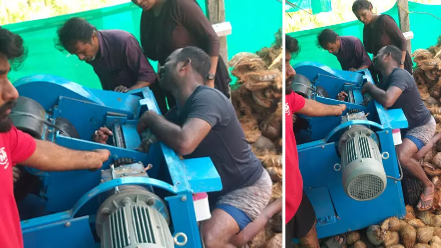 Coconut Peeling Machine