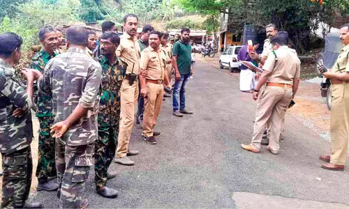 പയ്യാവൂരിൽ ആനകളെ തുരത്താൻ  32 അംഗ ദൗത്യസംഘമിറങ്ങി