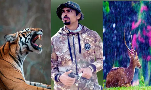 കാടുതേടിയൊരു ഫോട്ടോഗ്രാഫർ കാടുതേടിയൊരു ഫോട്ടോഗ്രാഫർ