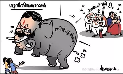 ഗുസ്തിക്കൊമ്പൻ