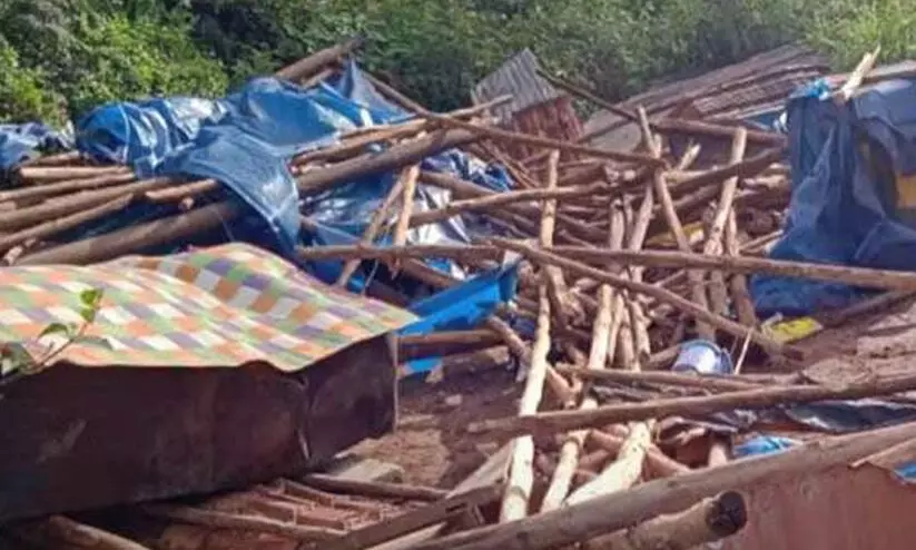 chinnakkanal elephant attack