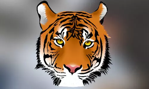 tiger