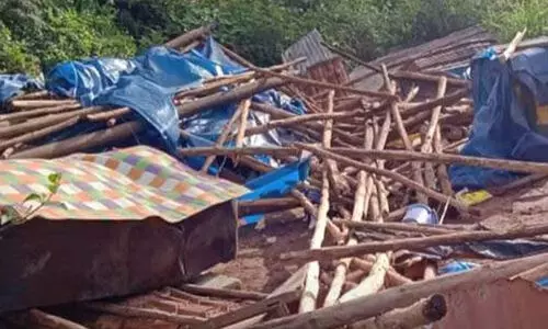 chinnakkanal elephant attack