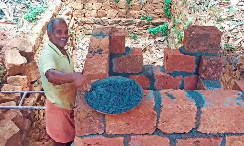 International Labor Day