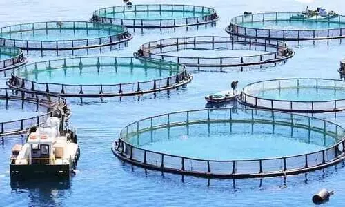 മത്സ്യ ഉൽപാദനത്തിന് പരിസ്ഥിതി സൗഹൃദ സാങ്കേതിക വിദ്യകൾ