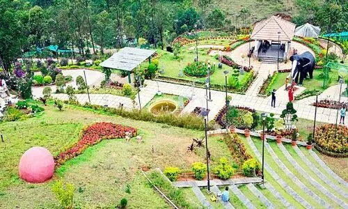 മൂന്നാറിൽ ഇനി പുഷ്പോത്സവം മൂന്നാറിൽ ഇനി പുഷ്പോത്സവം