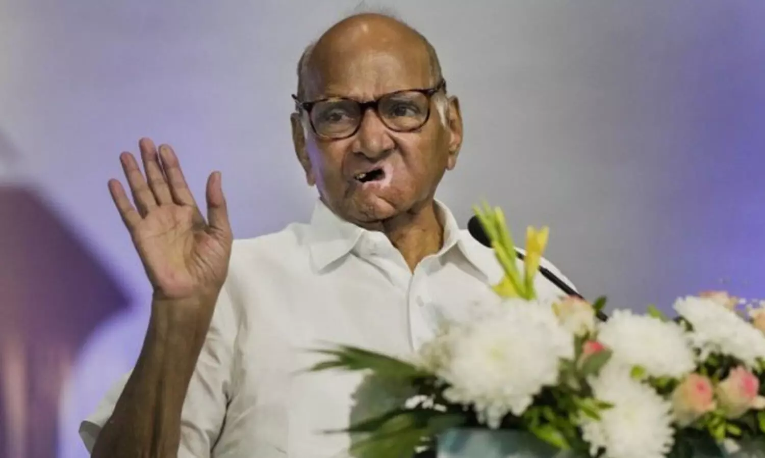 എം.എൽ.എമാർ ബി.ജെ.പിയിലായതിനാലാണ് പവാർ രാജിവെച്ചതെന്ന് സാമ്ന