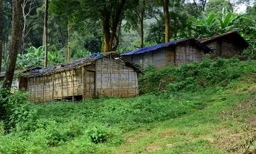 മന്ത്രി കെ.രാജൻ നിയമസഭയിൽ പറഞ്ഞത് തെറ്റ്: ഭൂമി തിരിച്ചു കിട്ടിയിട്ടില്ലെന്ന് അട്ടപ്പാടിയിലെ ശിവൻ മന്ത്രി കെ.രാജൻ നിയമസഭയിൽ പറഞ്ഞത് തെറ്റ്: ഭൂമി തിരിച്ചു കിട്ടിയിട്ടില്ലെന്ന് അട്ടപ്പാടിയിലെ ശിവൻ