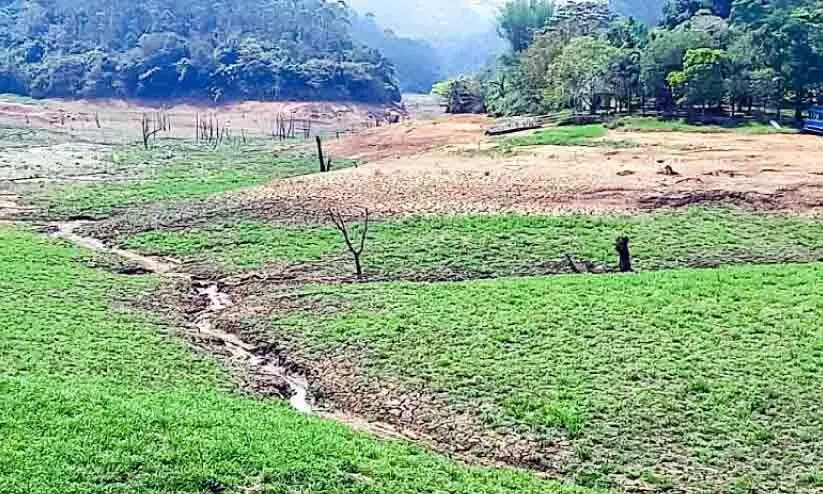 ചെങ്കുളം അണക്കെട്ടിൽ ബോട്ടിങ്ങിന്​ ഭീഷണിയായി മരക്കുറ്റികൾ