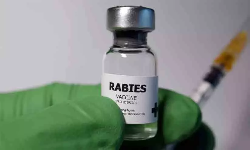 ഇടുക്കി ജി​ല്ല​യി​ൽ പേവിഷ വാക്സിന്​ ക്ഷാമം